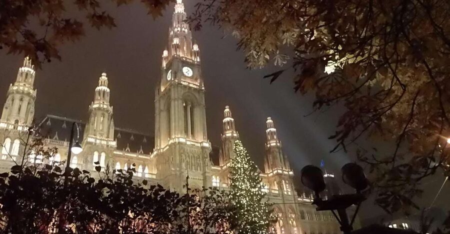 Wien: Tour with locals on the trails of the Christmas Tree - Meeting the guide near the Anker Clock