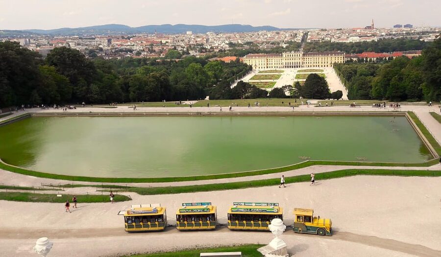 Wien: Tours with locals by public transport & walking - Start points around Parliament or Stubentor
