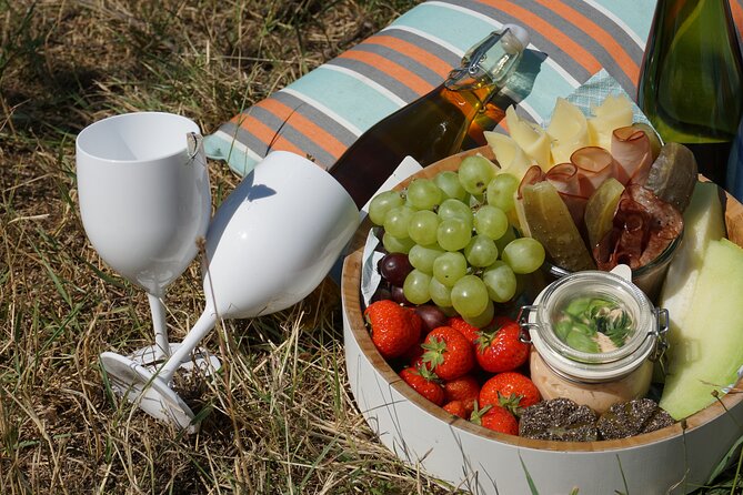 Wine Picknick overlocking vienna - The view is the main attraction
